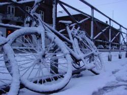 Vintercykel